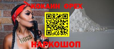 спиды Гай