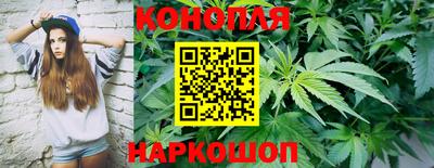 спиды Гай