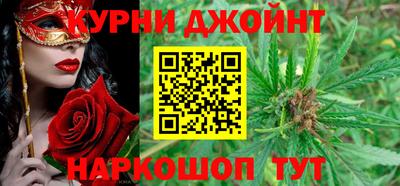 спиды Гай