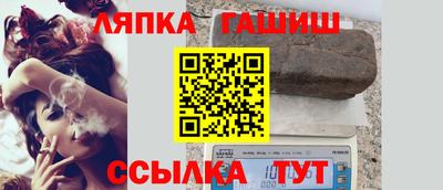 спиды Гай