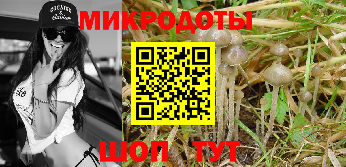 Псилоцибиновые грибы Magic Shrooms  Вход с VPN  Нижнеудинск 